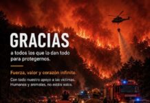 GRACIAS Fuerza&Unión España Vacaciones